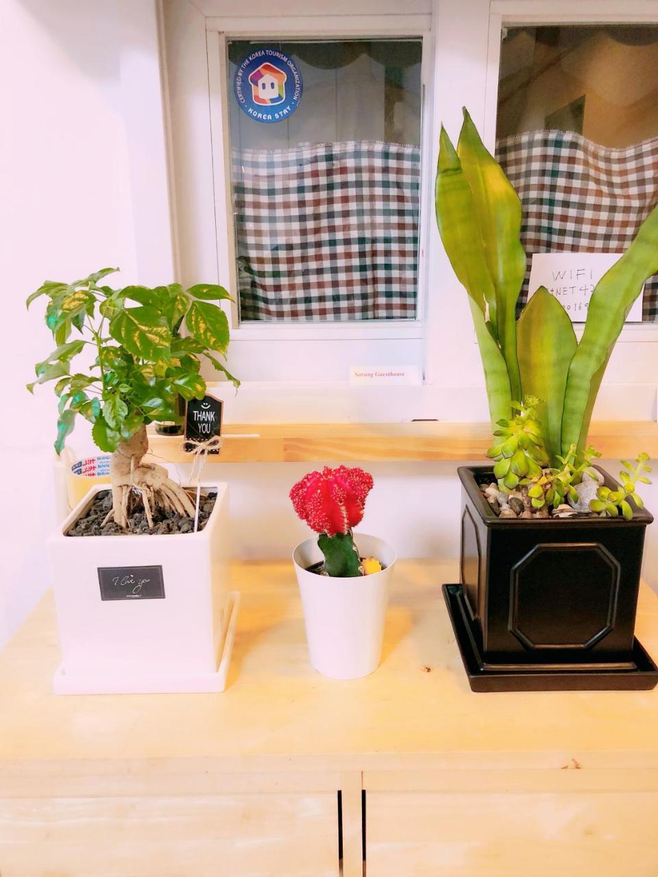 Sarang Guesthouse Dongdaemun Сеул Екстериор снимка